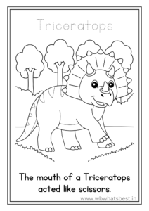 Triceratops