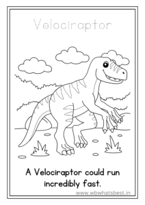 Velociraptor