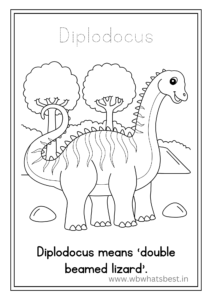 Diplodocus