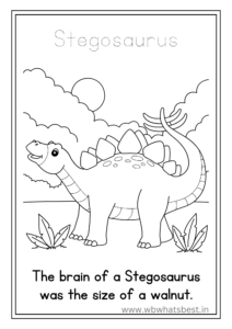 Stegosaurus